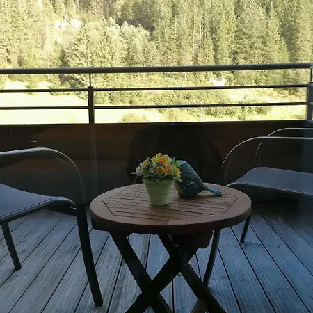 ألبس توكس شقة *