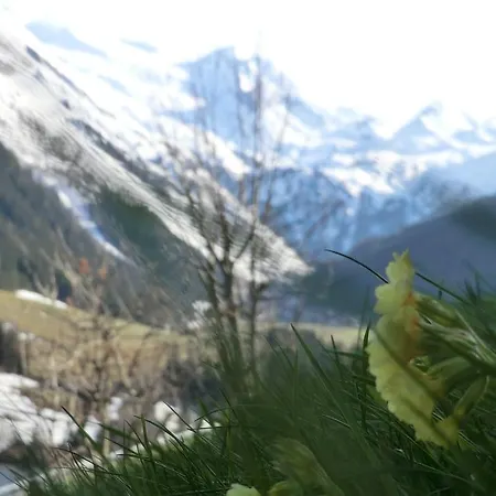 Apartment Alps *