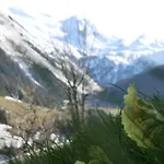 Apartmán Alps *